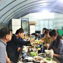 담양클로버 이미지