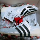 골드매니아 이미지