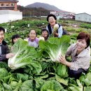 정종희농장 세계일보