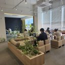 스테이그린 이미지