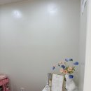 투투래쉬