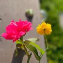 돌트미스테이 이미지