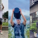 미미아이스 더쎈뉴스