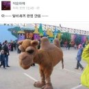 지금이순간결코돌아오지않스ㅡㅁ