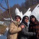 숲속의 둥지 이미지