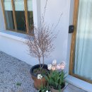 슬로우그로우라이프 이미지