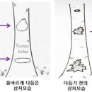 조경관리 이미지