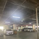 온누리세탁소 | 평택 네일샵 네일에반하다｜반려동물 동반 가능 · 온누리 상품권 상생페이백 사용 후기