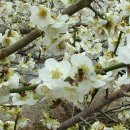 산악인의집 이미지