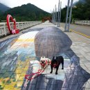 설악애견 이미지