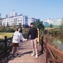 송현목장 이미지