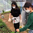 희순농장 이미지