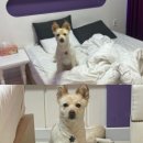 무진대로232번길 네이버블로그