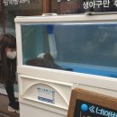 로타리수족관