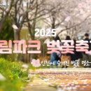 드림파크 티스토리