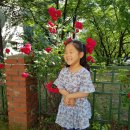 세아유치원 이미지