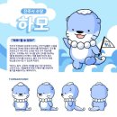 명품호떡카페
