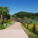 조례호수공원 이미지