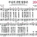 206 이미지