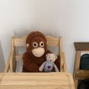 스테이꾸꾸 이미지