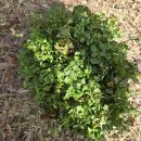 병방공원 이미지