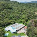 부동축사 이미지