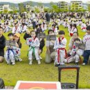 하나태권도장 이미지