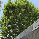 서초대로58길 13 (1) | 교대역 미용실 ✂️ 오즈 서초교대점에서 받은 레이어드컷 + 두피케어 후기