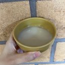 평창봉평메밀식품 티스토리