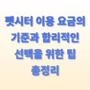 (신규)펫시터(산책·돌봄관리사) | 펫시터 이용 요금의 기준과 합리적인 선택을 위한 팁 총정리