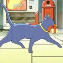 고양이의 보은 이미지