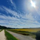 남파랑길 61코스 (2025년 10월 22일) 이미지