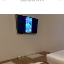 햇살동물병원 이미지