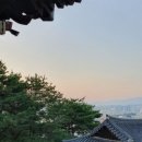 향촌한의원 네이버블로그