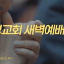 영성일기 2026.07.14. (화) 새벽기도회 (찬송) 370장 주 안에 있는 나에게 (성경) 신 8:2-3 이미지