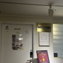 뽀샤시 펫살롱 이미지