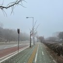 미파유치원 | 괜찮을만큼 사랑에 빠지기를