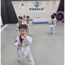참 태권도장 이미지