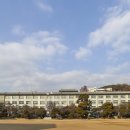 수원-1971 이미지