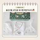 기용농장 | 모이몰른 포니팜 밤부 싱글 배냇저고리 선물세트 솔직후기 🐴🎁