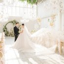 달하우스 이미지