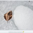 화악지암길 이미지