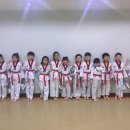 명성 바른자세 태권도 이미지