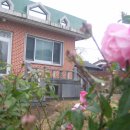 보물섬 민박 이미지