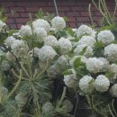 온새미로한의원 이미지