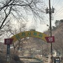 보수스테이 | [남양주] 냥냥이들로 힐링 되는 묘적사 템플스테이 후기