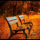 서울티플란트치과의원 이미지