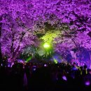 나무아래서(푸드트럭) 이미지