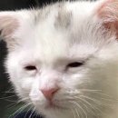 개월 | 익산 육개월 삼겹살 후기 🥩 회식 모임 추천 익산 맛집 카페 빌리까지 코스 완벽 💛