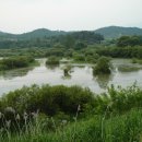 우포늪 광장 이미지